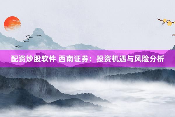 配资炒股软件 西南证券：投资机遇与风险分析