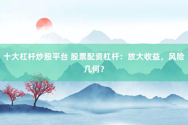 十大杠杆炒股平台 股票配资杠杆：放大收益，风险几何？