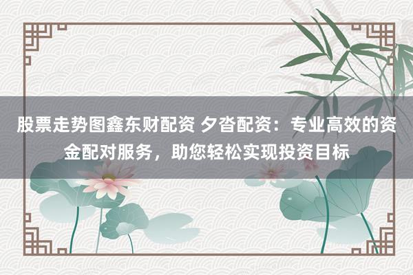 股票走势图鑫东财配资 夕沓配资：专业高效的资金配对服务，助您轻松实现投资目标