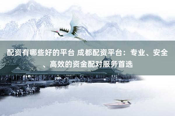配资有哪些好的平台 成都配资平台：专业、安全、高效的资金配对服务首选