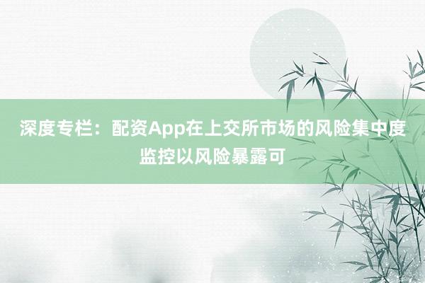 深度专栏：配资App在上交所市场的风险集中度监控以风险暴露可