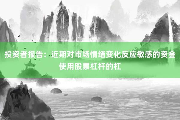 投资者报告：近期对市场情绪变化反应敏感的资金使用股票杠杆的杠