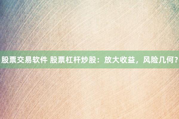 股票交易软件 股票杠杆炒股：放大收益，风险几何？