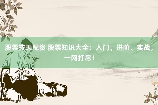 股票按天配资 股票知识大全:入门、进阶、实战,一网打尽!