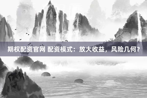 期权配资官网 配资模式：放大收益，风险几何？