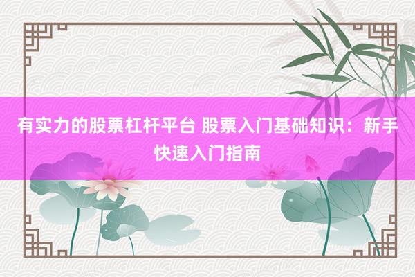 有实力的股票杠杆平台 股票入门基础知识：新手快速入门指南
