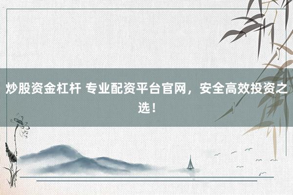 炒股资金杠杆 专业配资平台官网，安全高效投资之选！