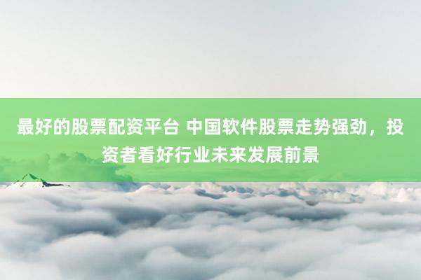 最好的股票配资平台 中国软件股票走势强劲，投资者看好行业未来发展前景
